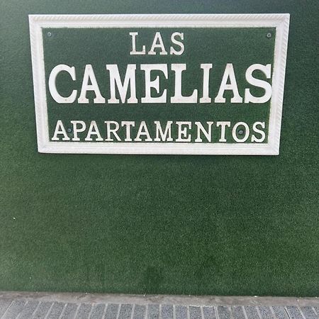 Yumbo Appartamenti Las Camelias Playa Del Ingles Eksteriør billede