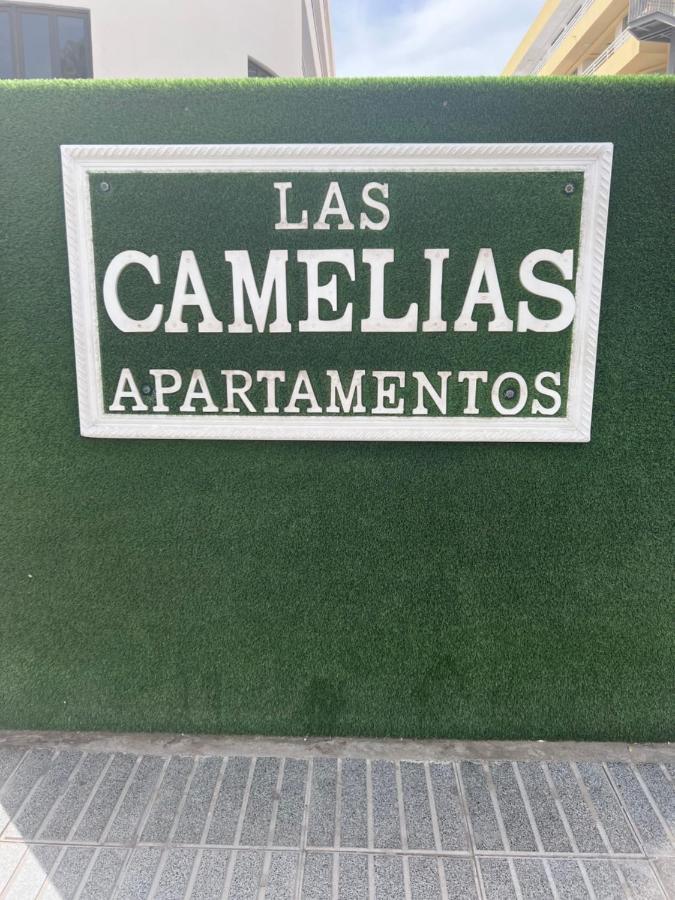 Yumbo Appartamenti Las Camelias Playa Del Ingles Eksteriør billede